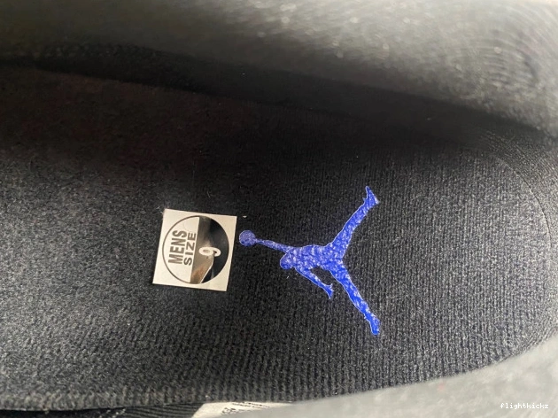 Air Jam 11 Space Jordan FV5104-004 Low 0906